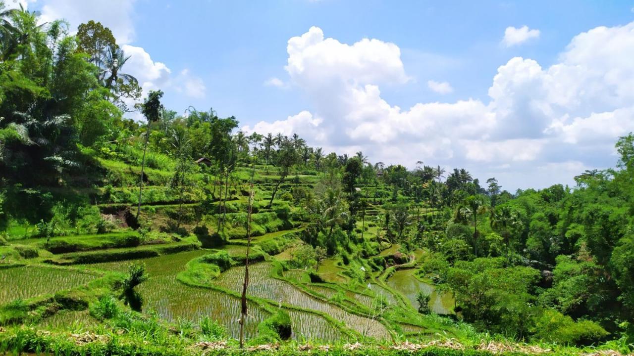 Novia Guest House Lombok-Tetebatu Exteriör bild
