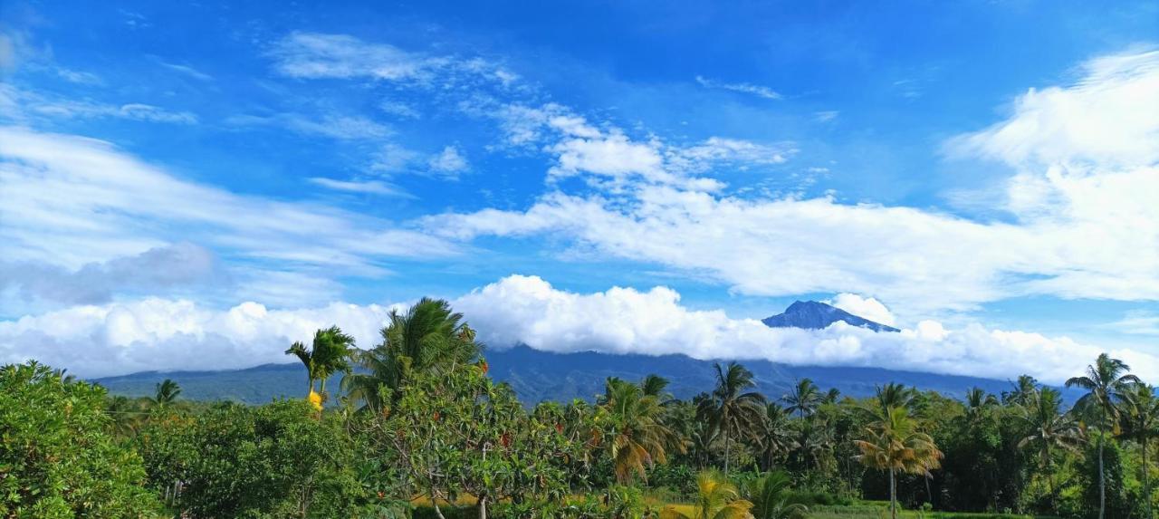 Novia Guest House Lombok-Tetebatu Exteriör bild